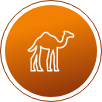 khuri camel safari